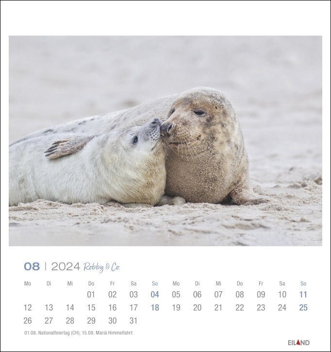 Bild: 9783964022813 | Robby &amp; Co Postkartenkalender 2024. Robben und Seehunde in...