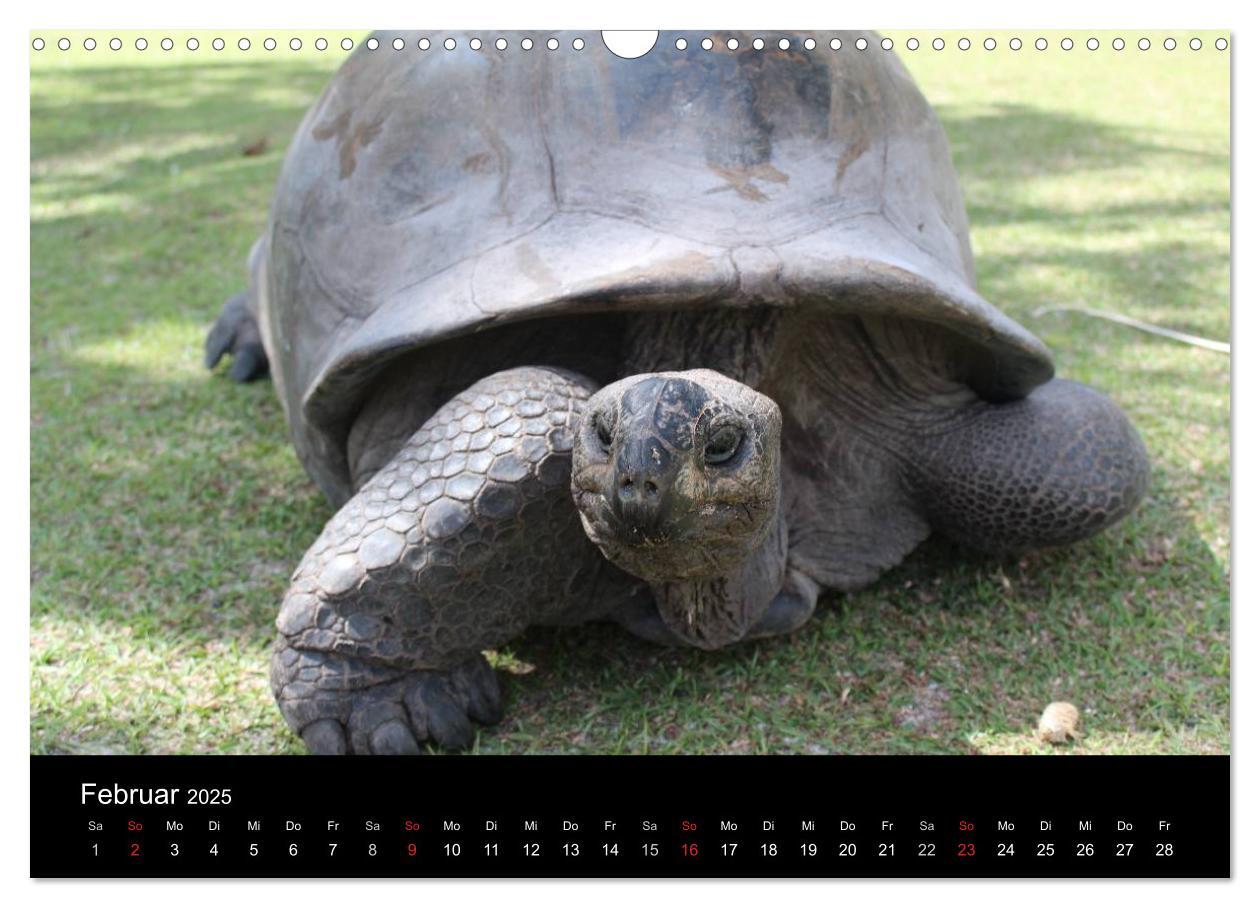 Bild: 9783435763122 | Seychellen (Wandkalender 2025 DIN A3 quer), CALVENDO Monatskalender