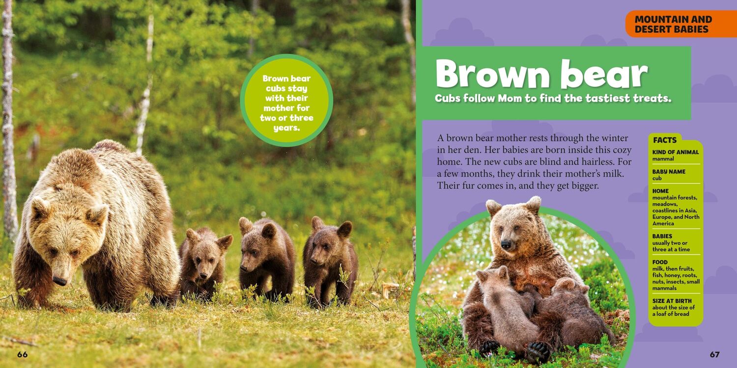 Bild: 9788863125412 | Mein großes Buch der Tierbabys | National Geographic Kids | Maya Myers