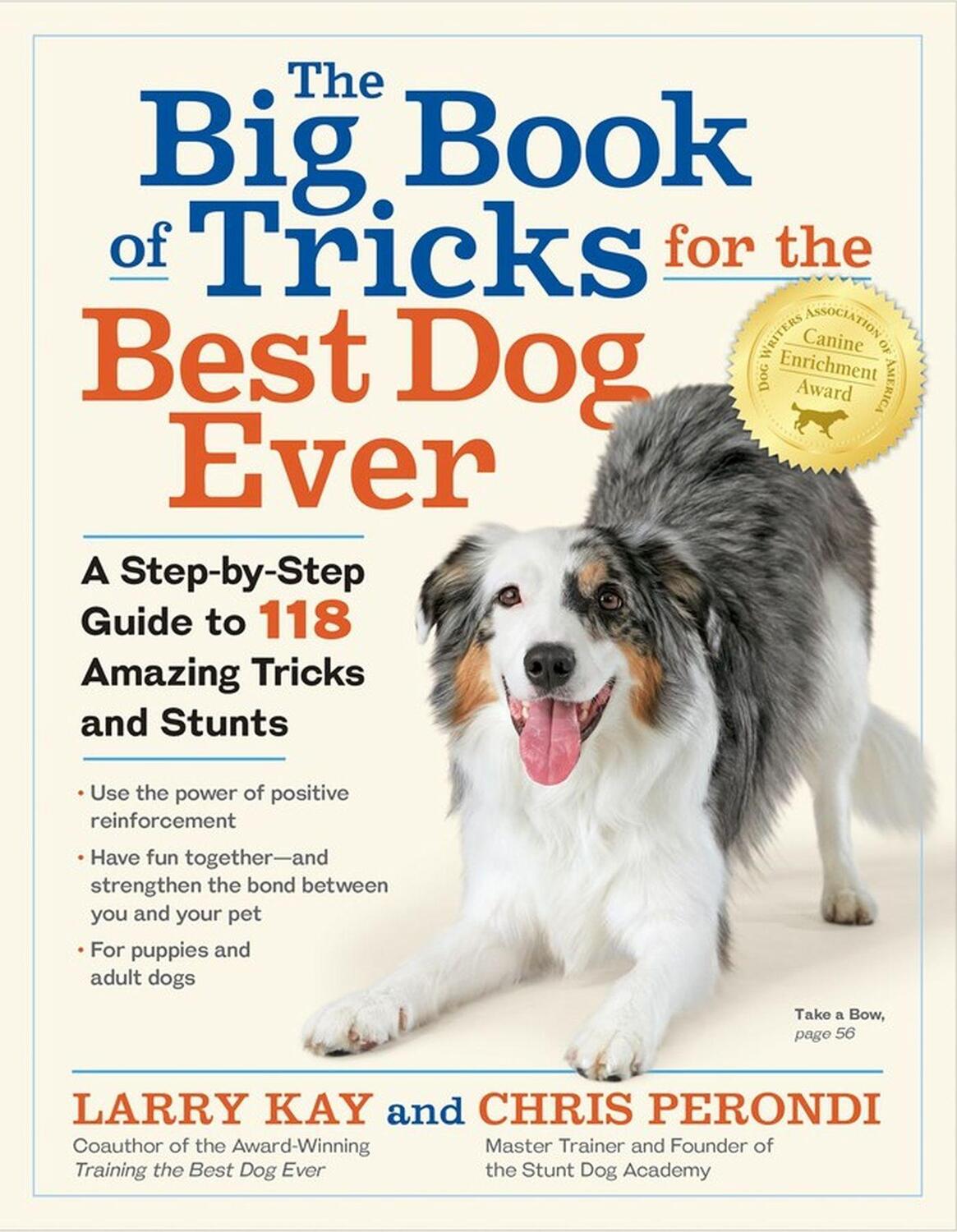 Cover: 9781523501618 | The Big Book of Tricks for the Best Dog Ever | Chris Perondi (u. a.)