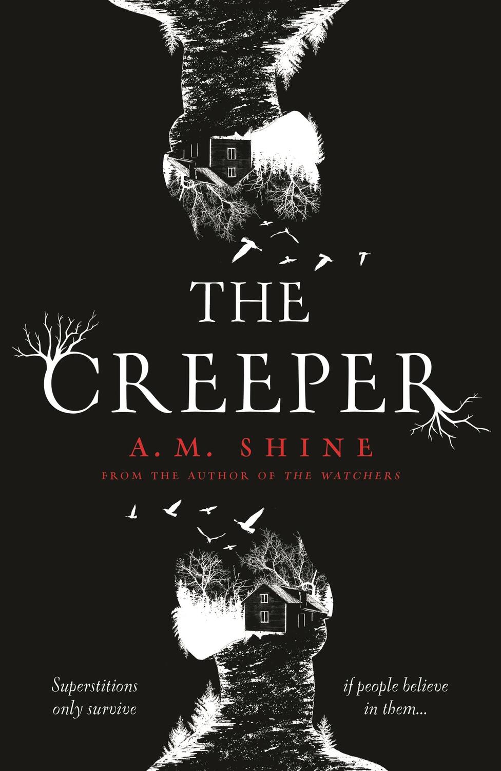 Cover: 9781801102193 | The Creeper | A. M. Shine | Taschenbuch | Paperback | Englisch | 2023