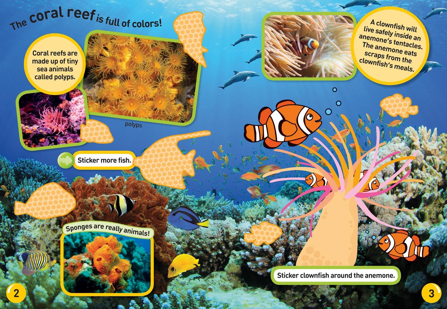 Bild: 9781426334238 | Ocean Animals Sticker Activity Book | Over 1,000 Stickers! | Buch