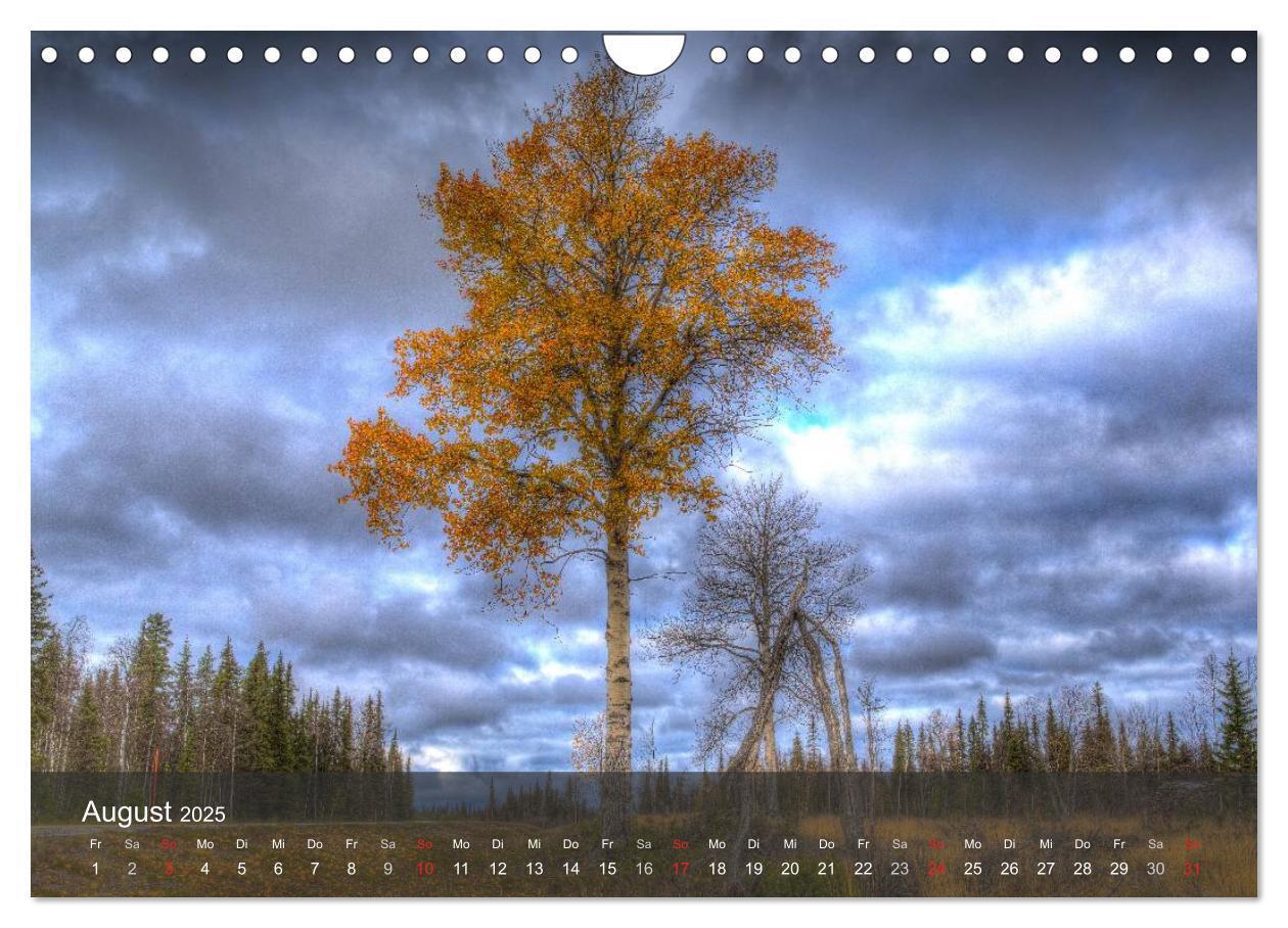 Bild: 9783435777730 | Lappland 2025 (Wandkalender 2025 DIN A4 quer), CALVENDO Monatskalender