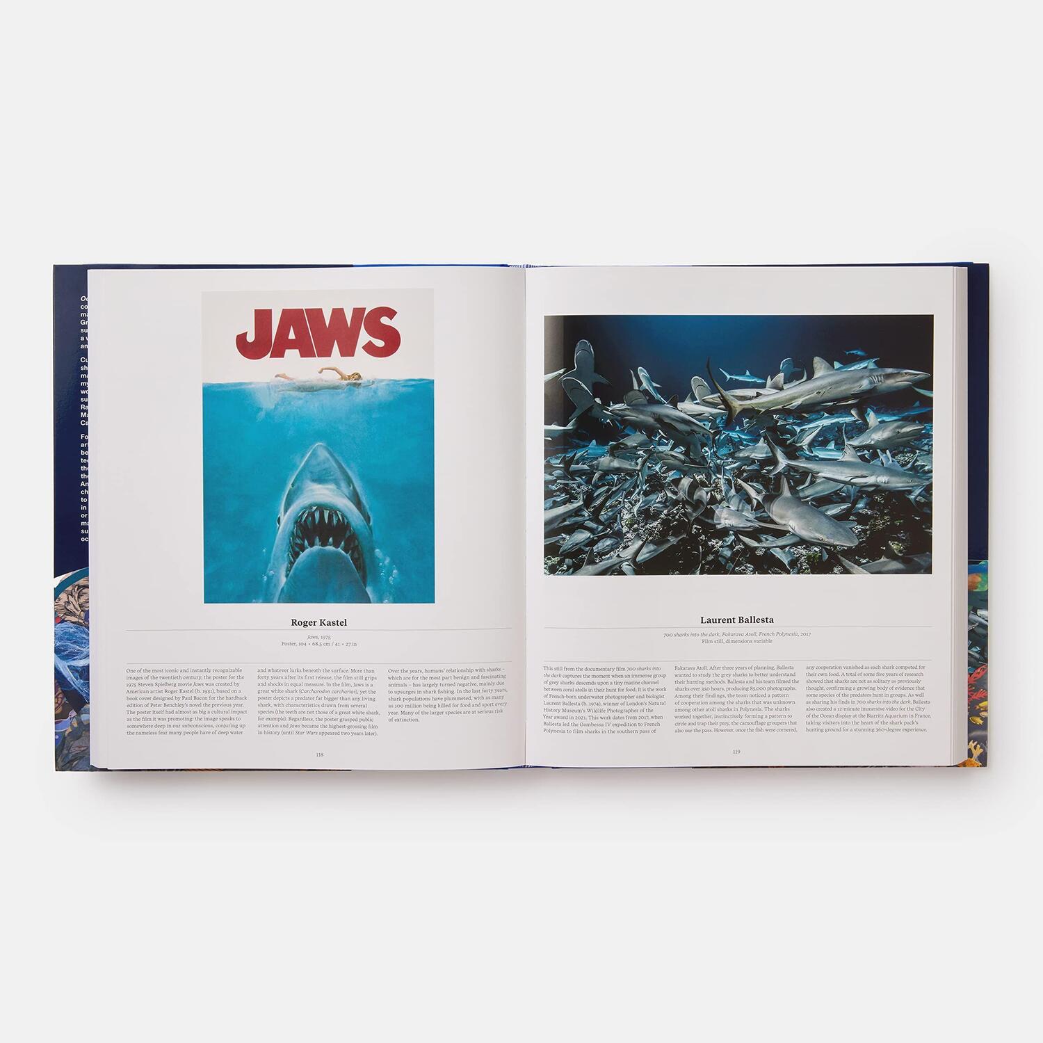 Bild: 9781838664787 | Ocean, Exploring the Marine World | Editors Phaidon (u. a.) | Buch