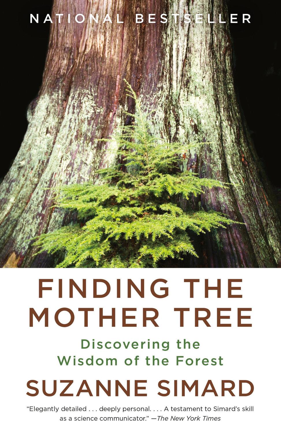 Cover: 9780525565994 | Finding the Mother Tree | Discovering the Wisdom of the Forest | Buch