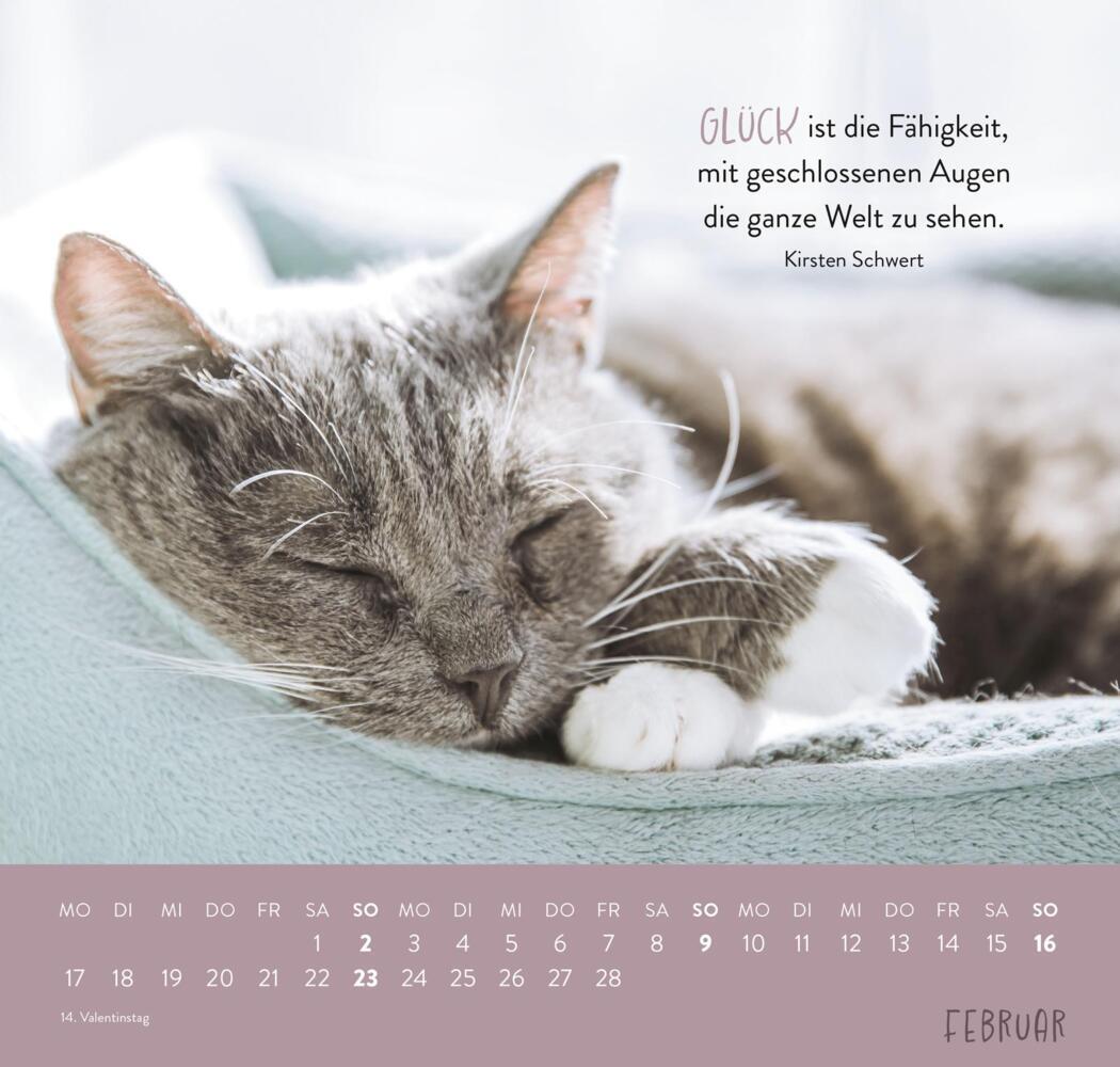 Bild: 4036442011881 | Wandkalender 2025: Für Katzenfreunde | Groh Verlag | Kalender | 12 S.