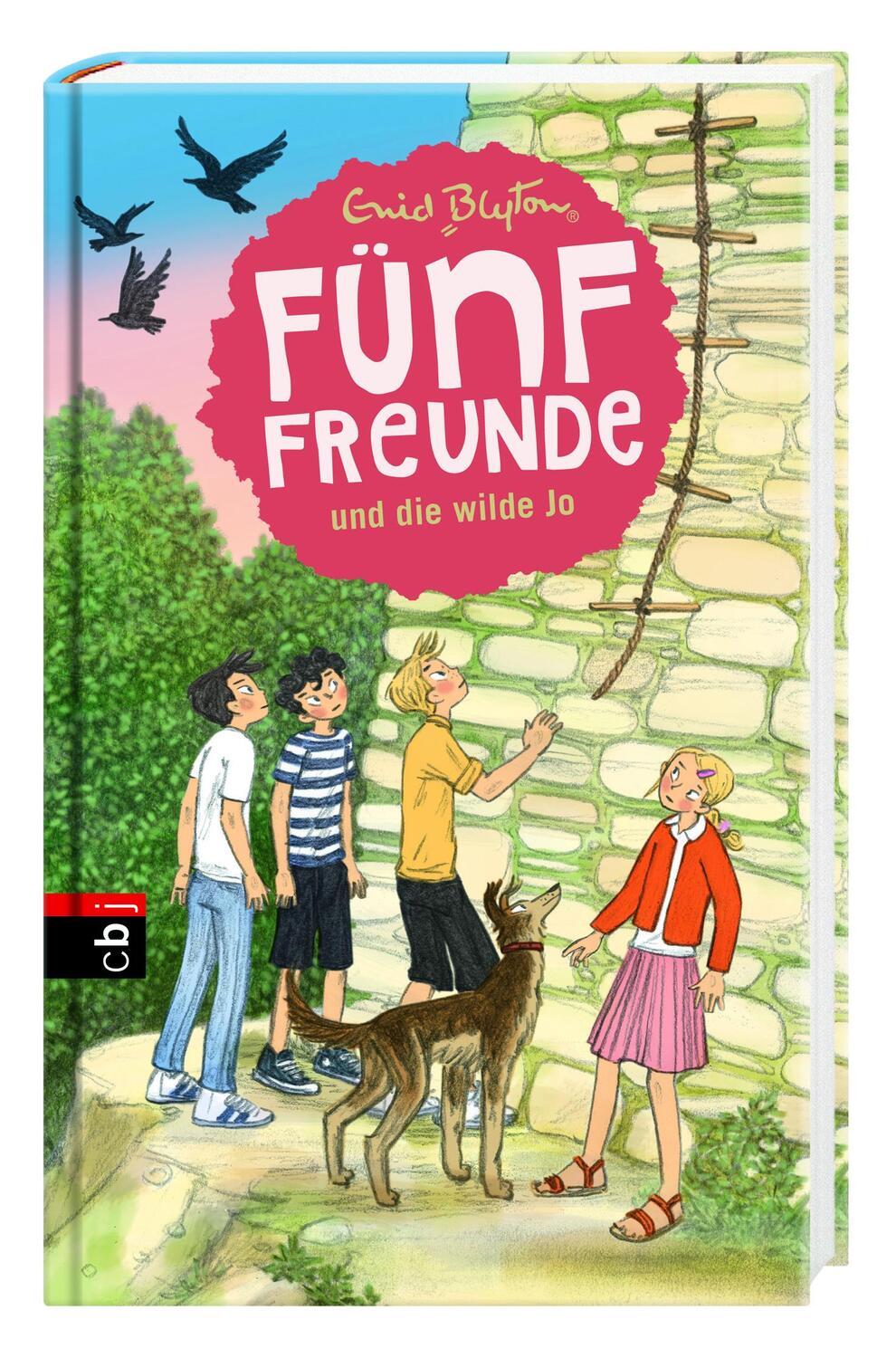 Bild: 9783570172148 | Fünf Freunde und die wilde Jo | Enid Blyton | Buch | Fünf Freunde