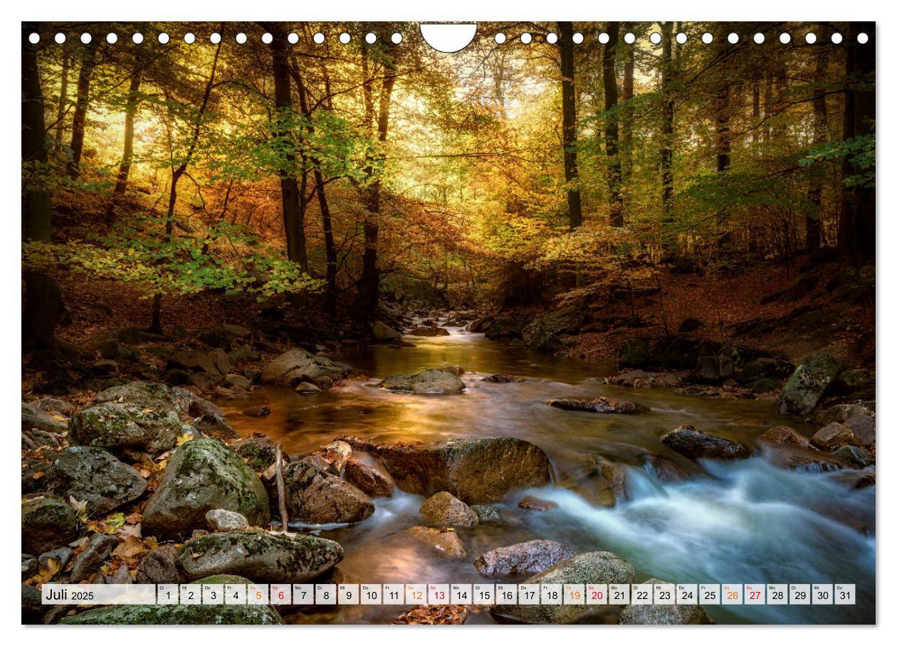 Bild: 9783435071876 | Wald - mystische Spaziergänge (Wandkalender 2025 DIN A4 quer),...