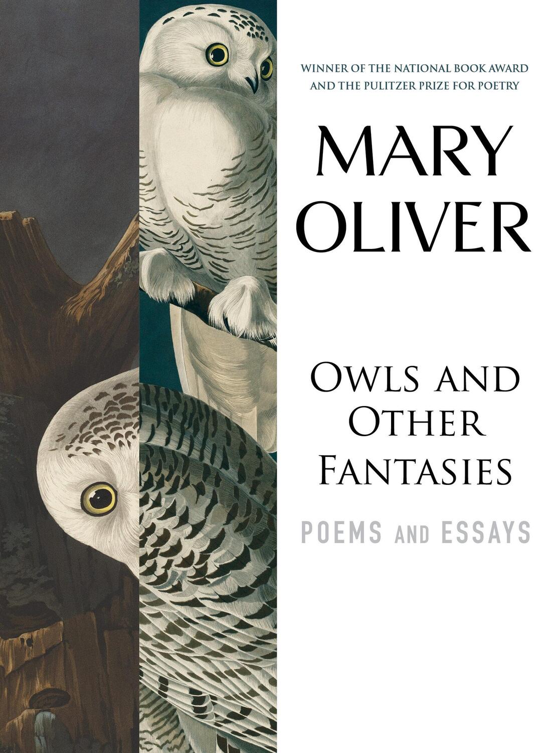 Cover: 9780807068755 | Owls and Other Fantasies: Poems and Essays | Mary Oliver | Taschenbuch