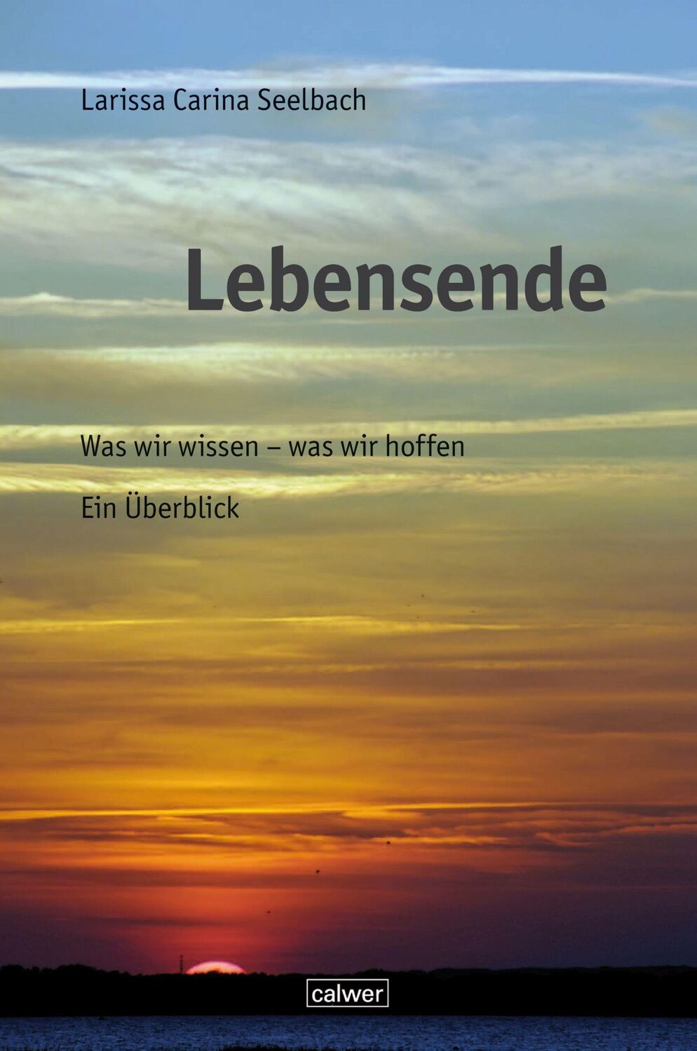 Cover: 9783766845672 | Lebensende | Was wir wissen - was wir hoffen. Ein Überblick | Seelbach