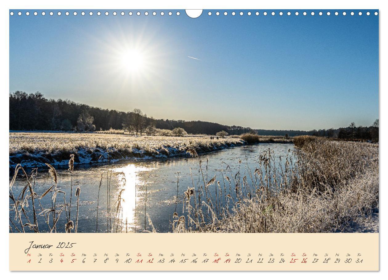 Bild: 9783383982484 | Friedländer Große Wiese (Wandkalender 2025 DIN A3 quer), CALVENDO...