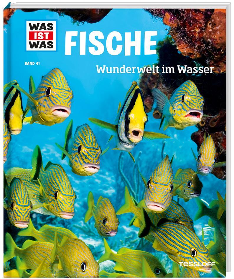 Cover: 9783788620769 | WAS IST WAS Band 41 Fische. Wunderwelt im Wasser | Nicolai Schirawski