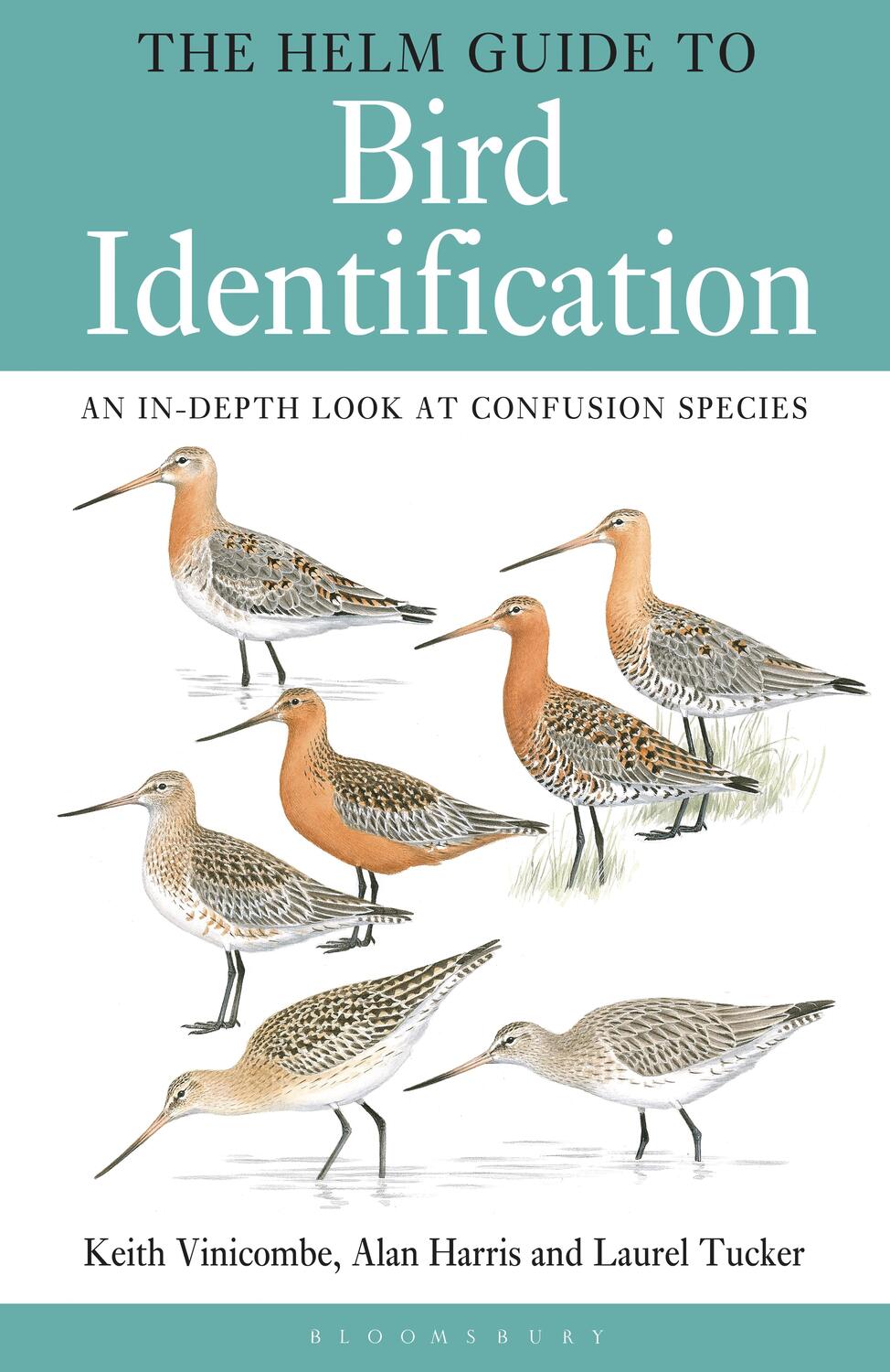Cover: 9781408130353 | The Helm Guide to Bird Identification | Keith Vinicombe | Taschenbuch