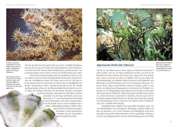 Bild: 9783866590540 | Algen im Meerwasseraquarium | Pflege und Bekämpfung | Daniel Knop