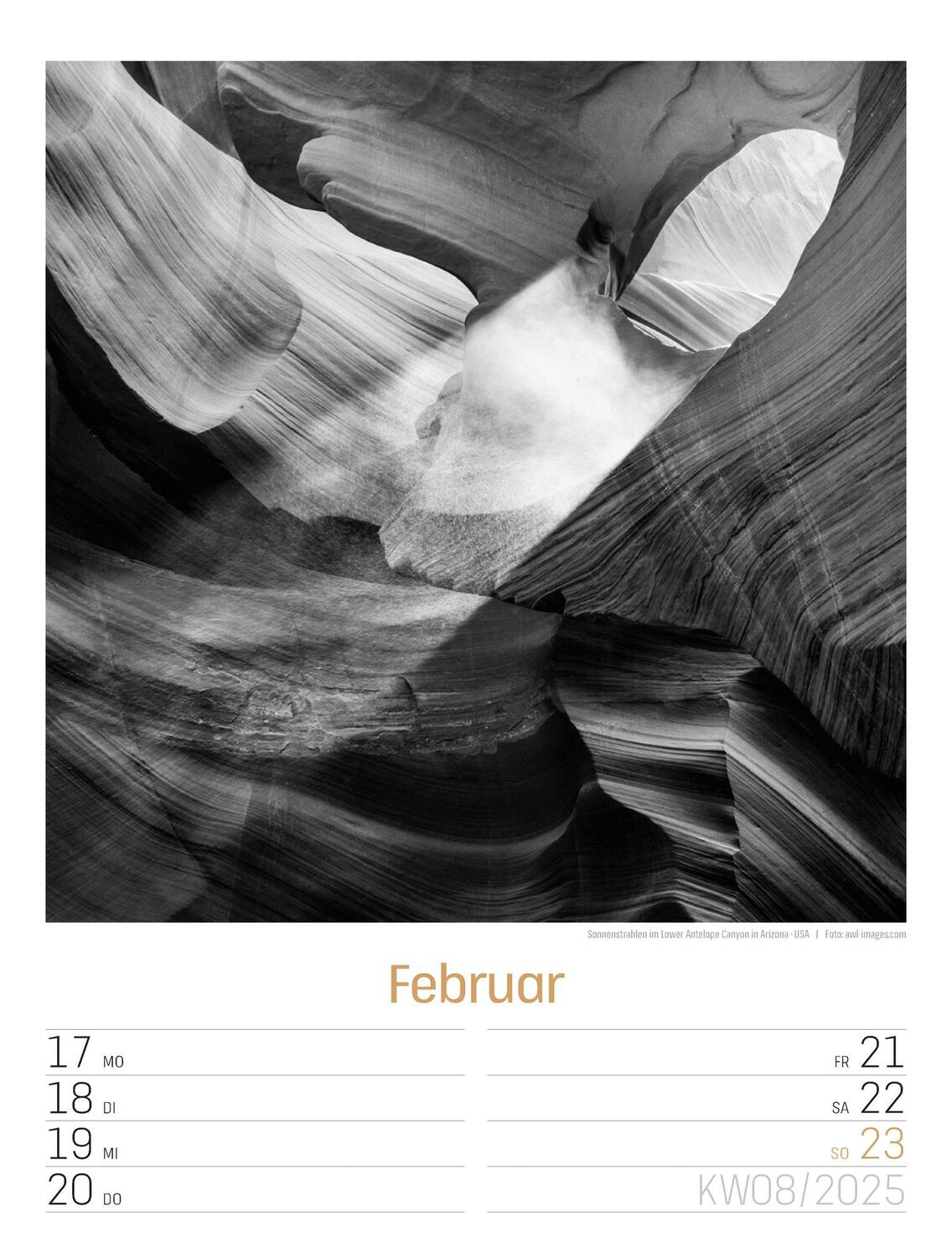 Bild: 9783838435268 | Silent Nature - Schwarz-Weiß-Wochenplaner Kalender 2025 | Kunstverlag