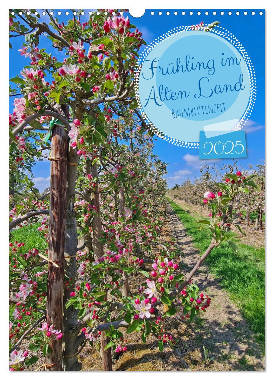 Cover: 9783435901265 | Frühling im Alten Land - Baumblütenzeit (Wandkalender 2025 DIN A3...