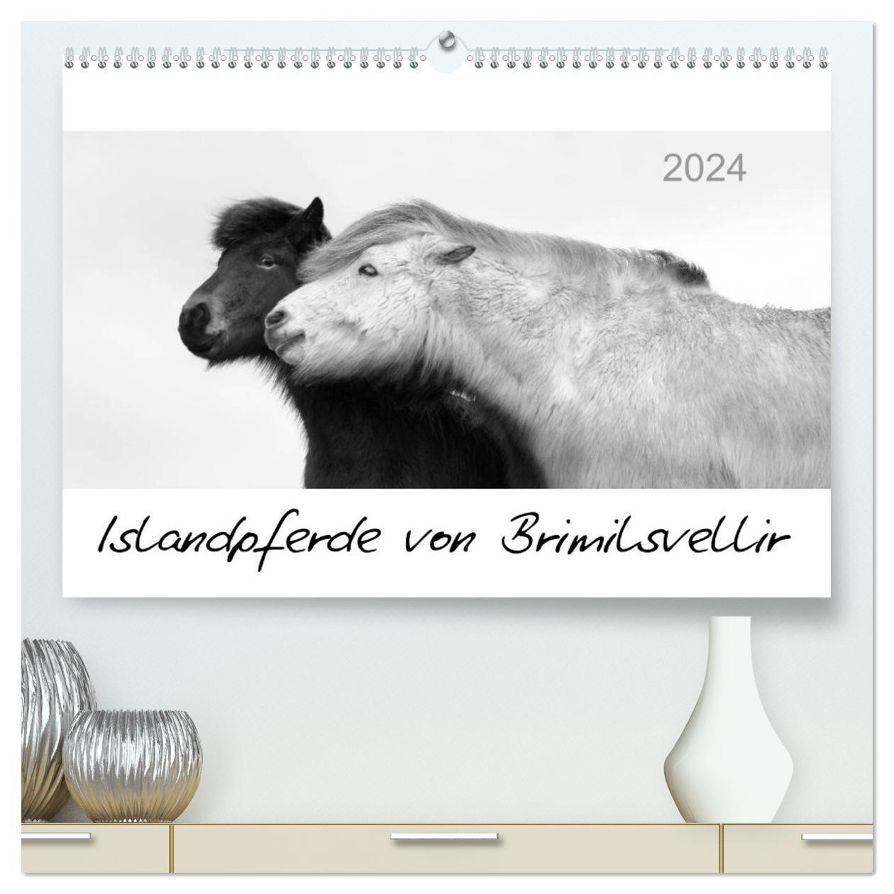 Cover: 9783383551291 | Islandpferde von Brimilsvellir (hochwertiger Premium Wandkalender...