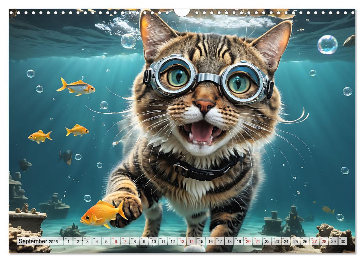 Bild: 9783383842542 | Katzen unter Wasser (Wandkalender 2025 DIN A3 quer), CALVENDO...