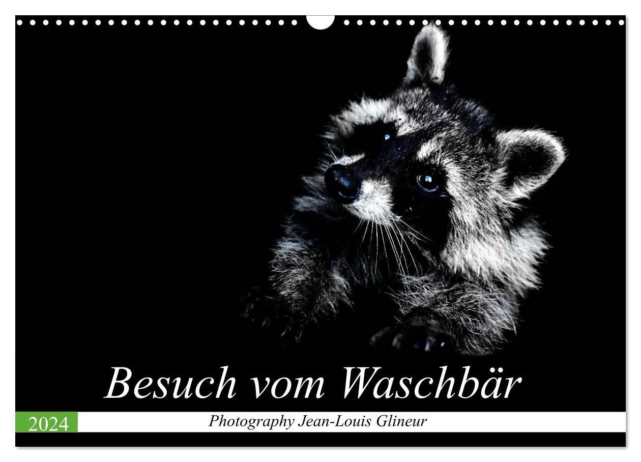 Cover: 9783383001390 | Besuch vom Waschbär (Wandkalender 2024 DIN A3 quer), CALVENDO...