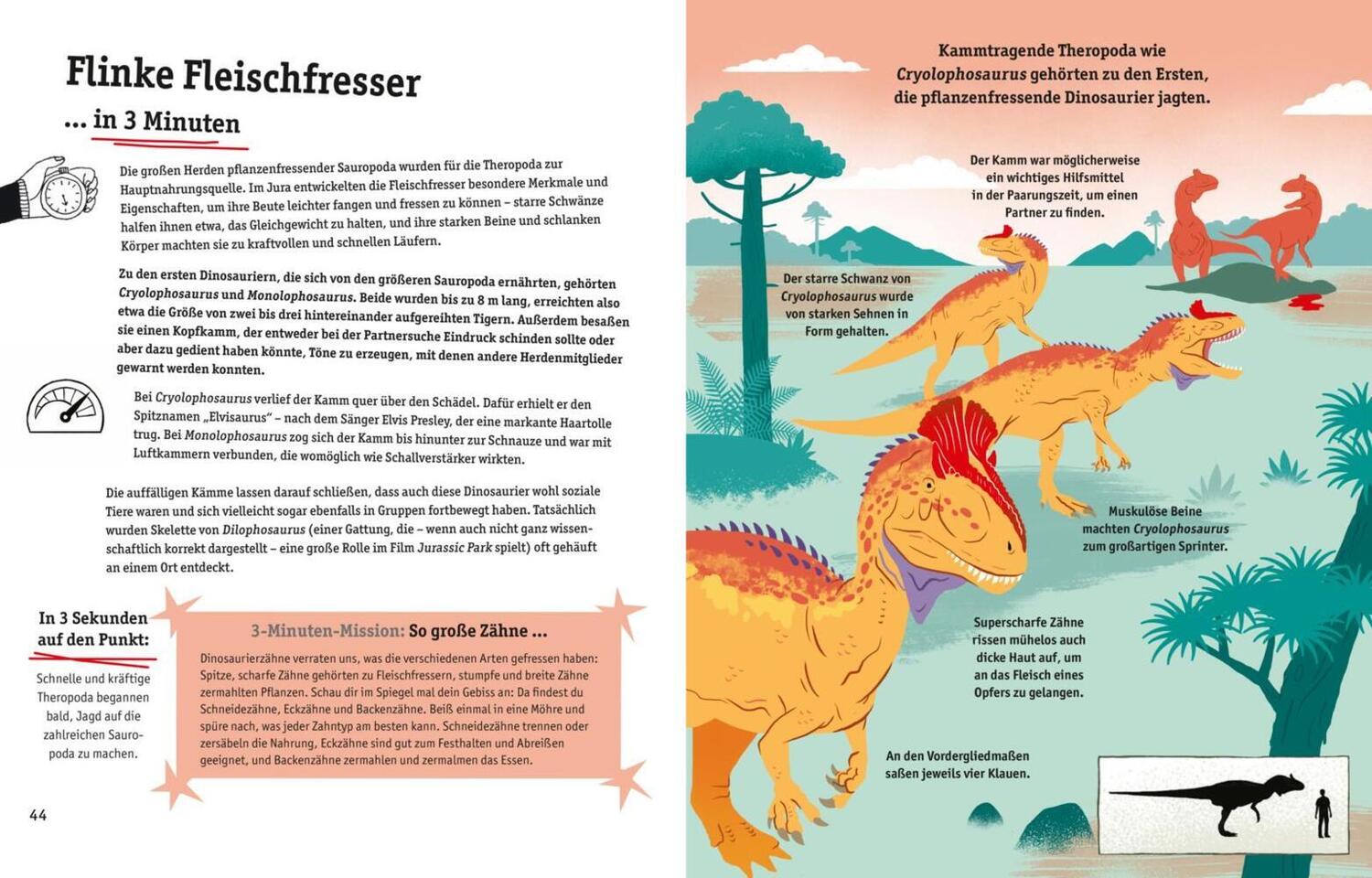 Bild: 9783551255136 | Dinosaurier - Wissen to go | Sean Callery | Buch | 96 S. | Deutsch