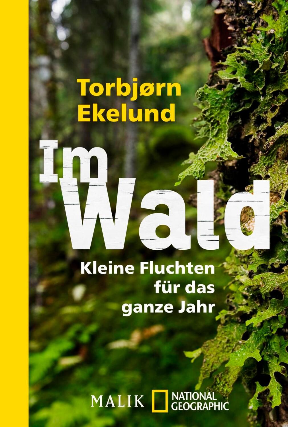 Cover: 9783492404839 | Im Wald | Kleine Fluchten für das ganze Jahr | Torbjørn Ekelund | Buch
