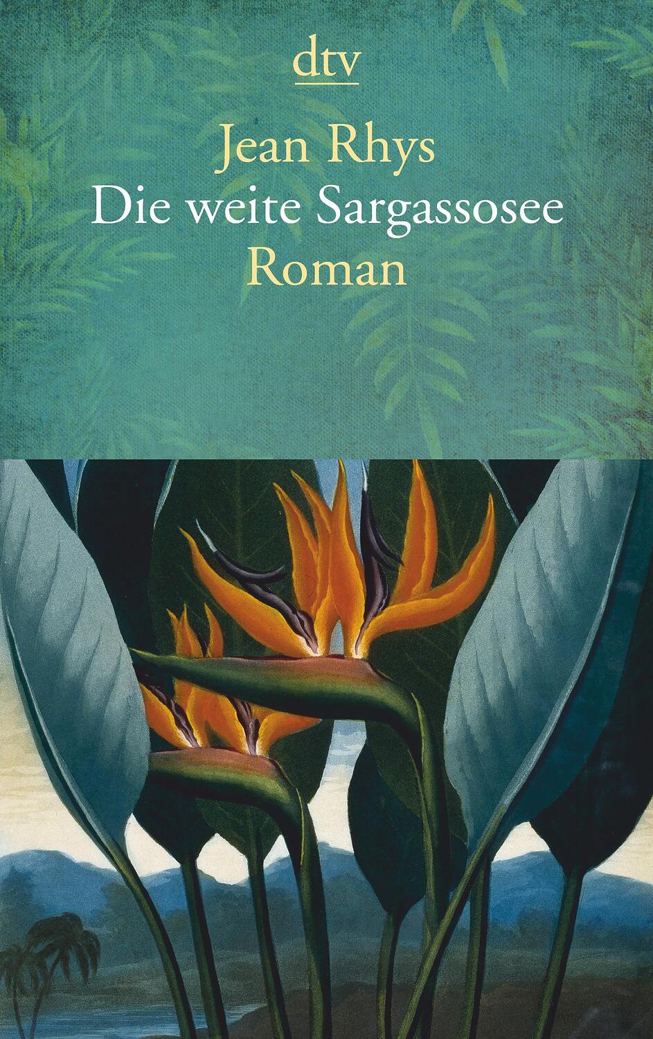 Cover: 9783423145718 | Die weite Sargassosee | Jean Rhys | Taschenbuch | Deutsch | 2017