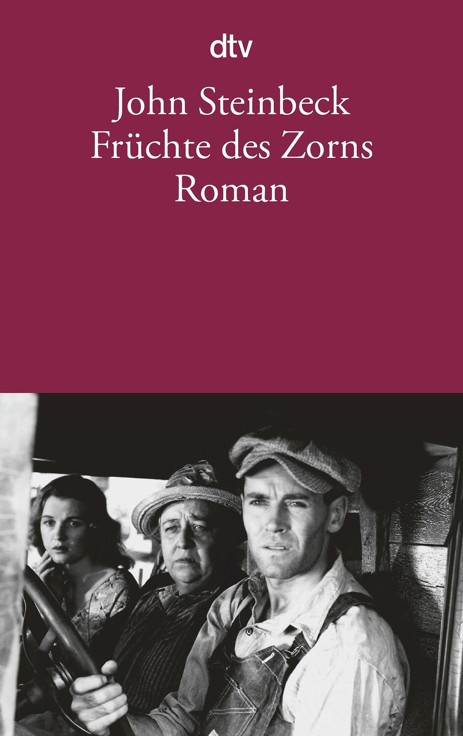 Cover: 9783423104746 | Früchte des Zorns | John Steinbeck | Taschenbuch | Deutsch | 1985