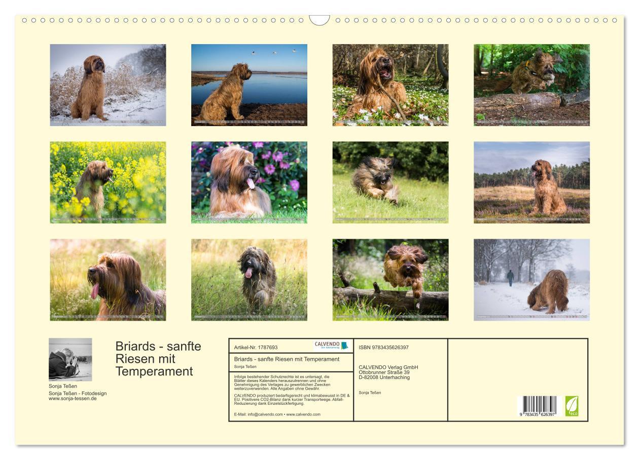 Bild: 9783435626397 | Briards - sanfte Riesen mit Temperament (Wandkalender 2025 DIN A2...