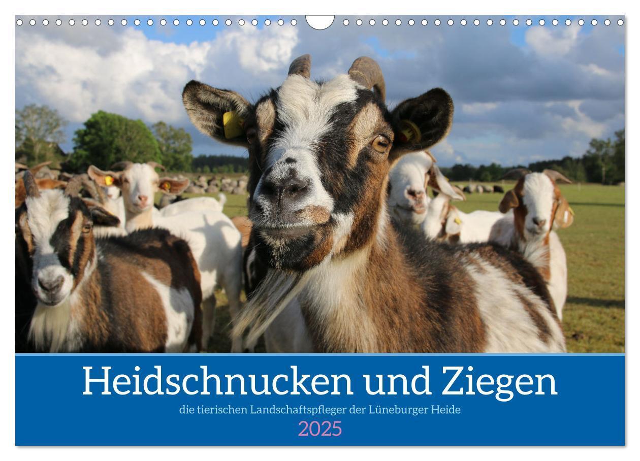 Cover: 9783383969638 | Heidschnucken und Ziegen die tierischen Landschaftspfleger der...