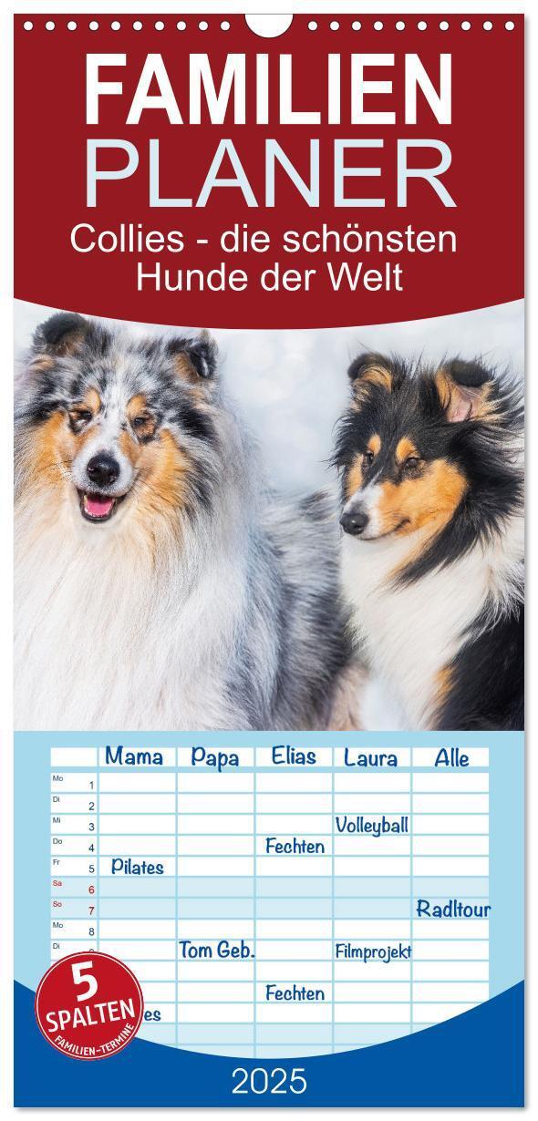 Cover: 9783457090701 | Familienplaner 2025 - Collies - die schönsten Hunde der Welt mit 5...