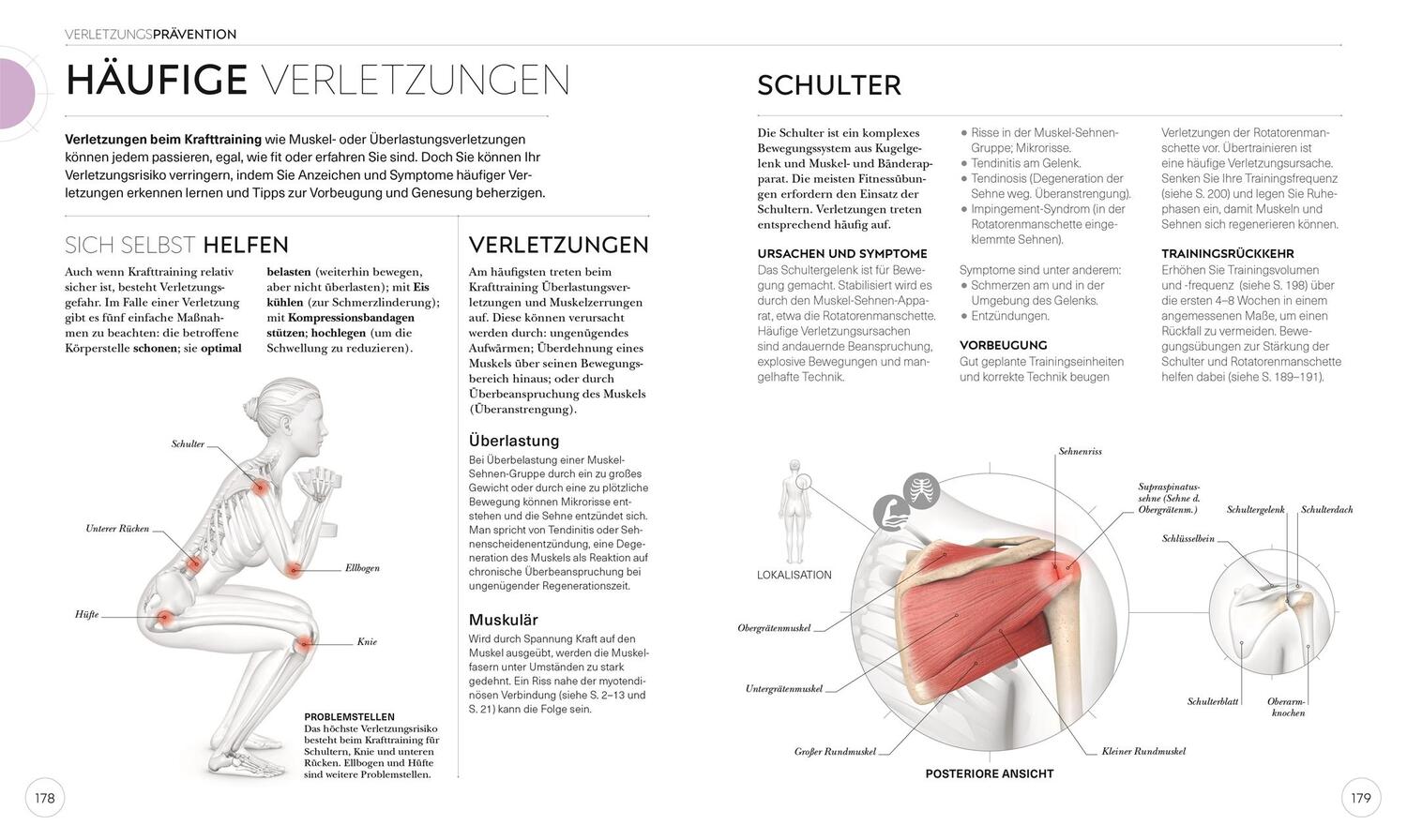 Bild: 9783831042760 | Krafttraining - Die Anatomie verstehen | Austin Current | Taschenbuch