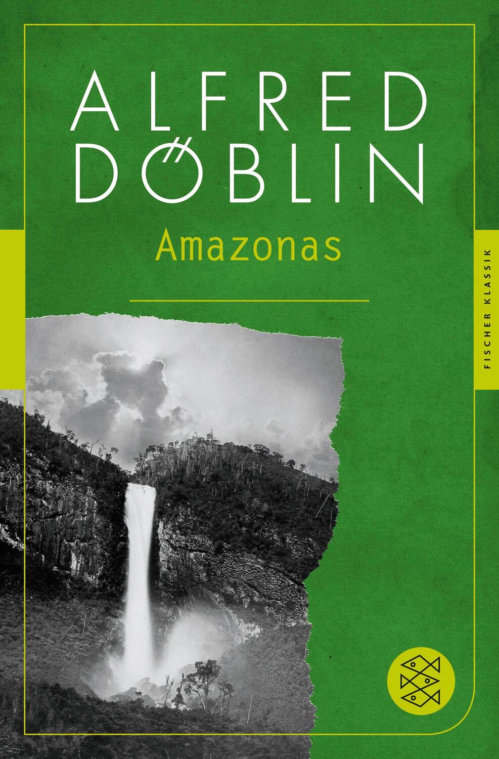 Cover: 9783596904747 | Amazonas | Romantrilogie | Alfred Döblin | Taschenbuch | Paperback