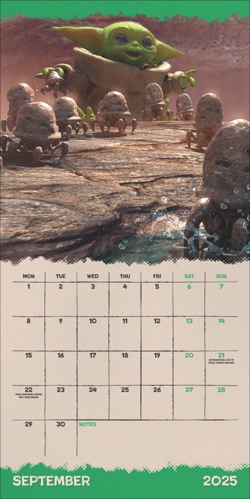 Bild: 9783840196683 | The Mandalorian Broschurkalender 2025 | Kalender | 28 S. | Englisch