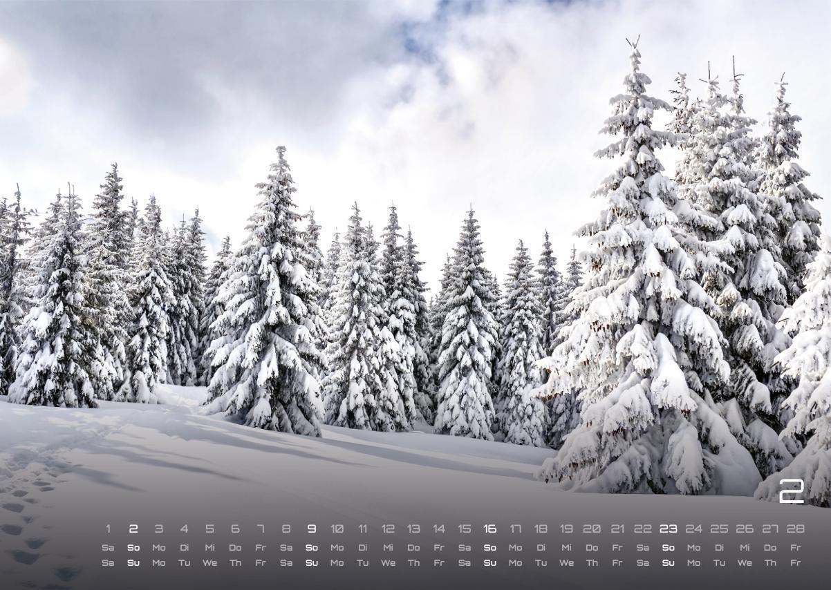 Bild: 9783986734480 | Wald - Erholung für Mensch und Tier - 2025 - Kalender DIN A3 | de