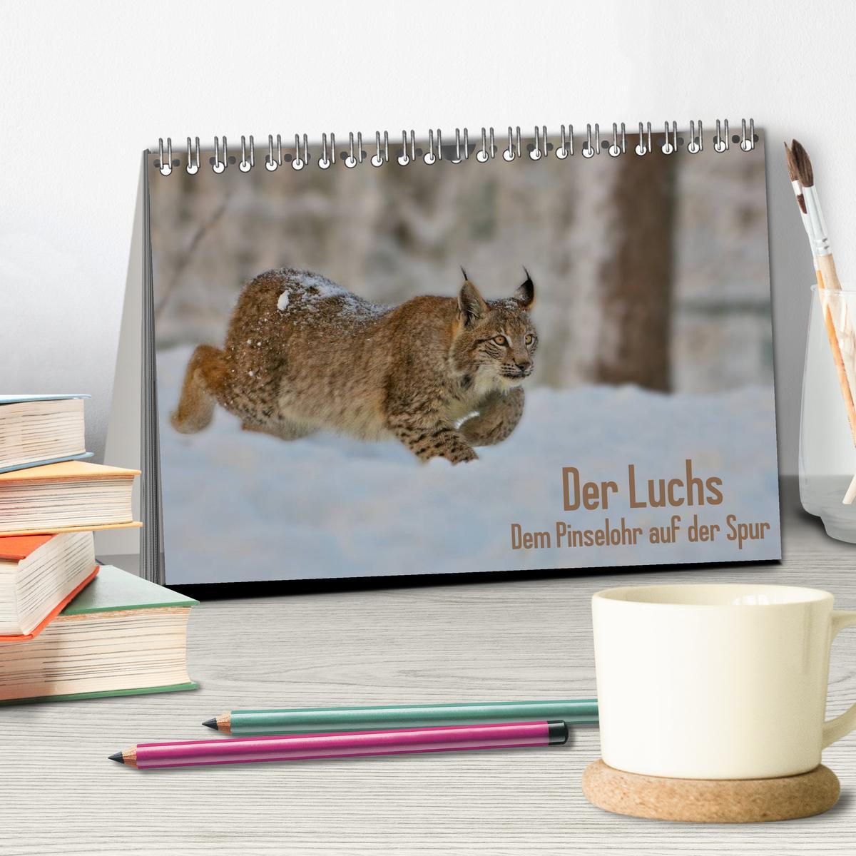 Bild: 9783435687510 | Der Luchs - Dem Pinselohr auf der Spur (Tischkalender 2025 DIN A5...