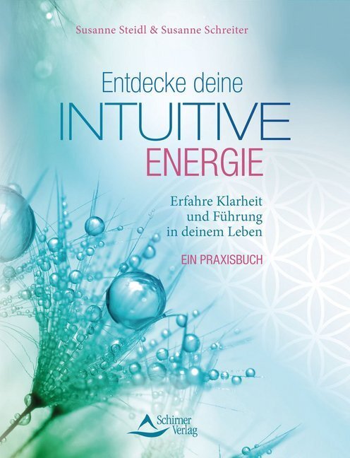 Cover: 9783843413855 | Entdecke deine intuitive Energie | Susanne Steidl (u. a.) | Buch