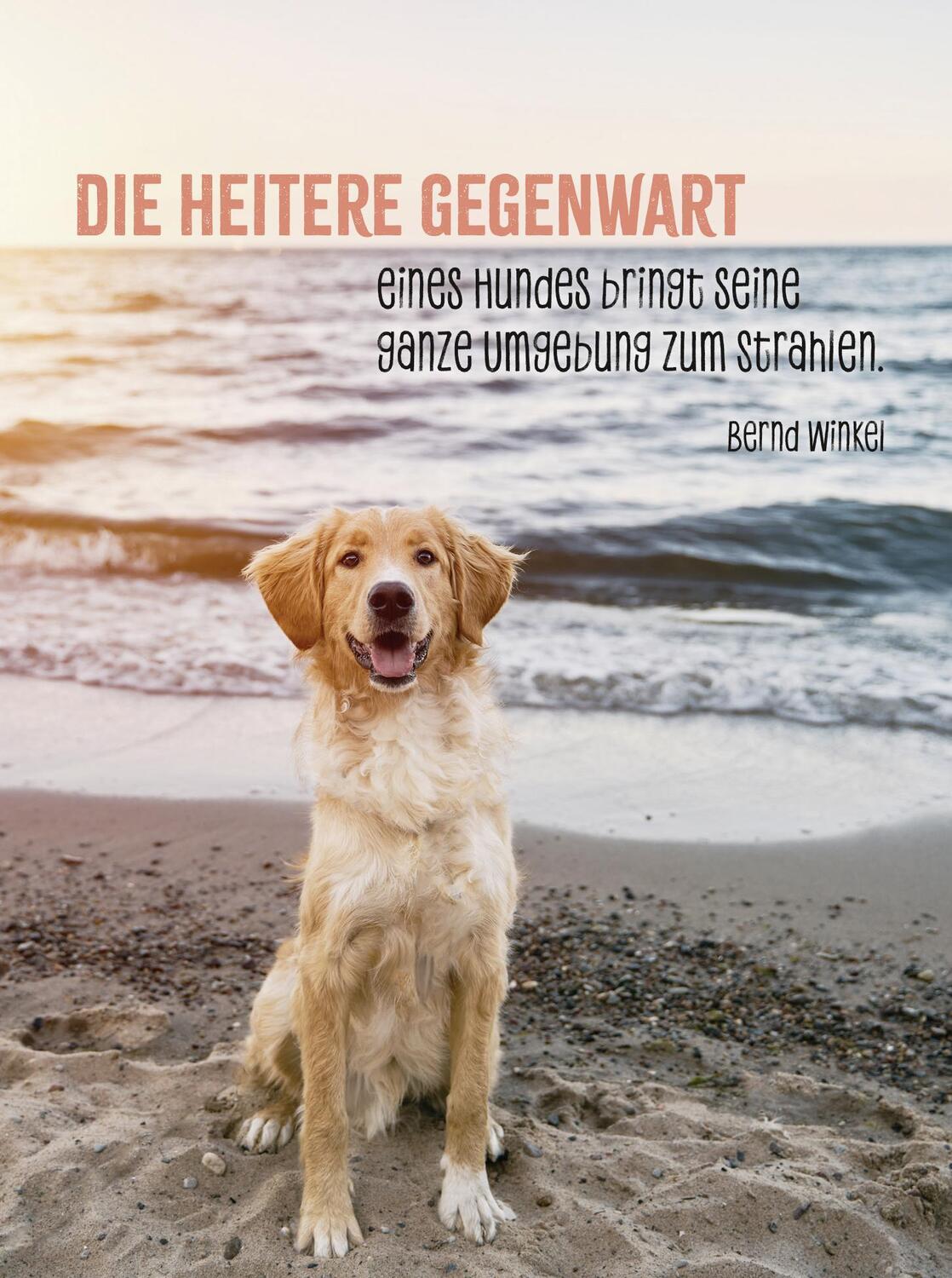 Bild: 9783848502349 | Hunde sind die besten Freunde | Groh Verlag | Taschenbuch | 48 S.