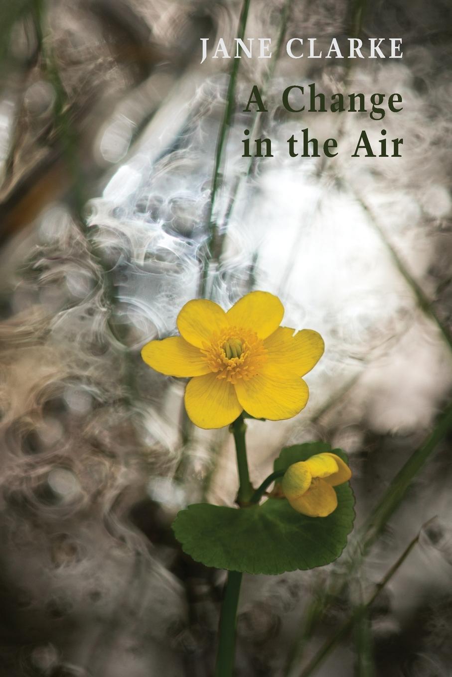 Cover: 9781780376592 | A Change in the Air | Jane Clarke | Taschenbuch | Paperback | Englisch