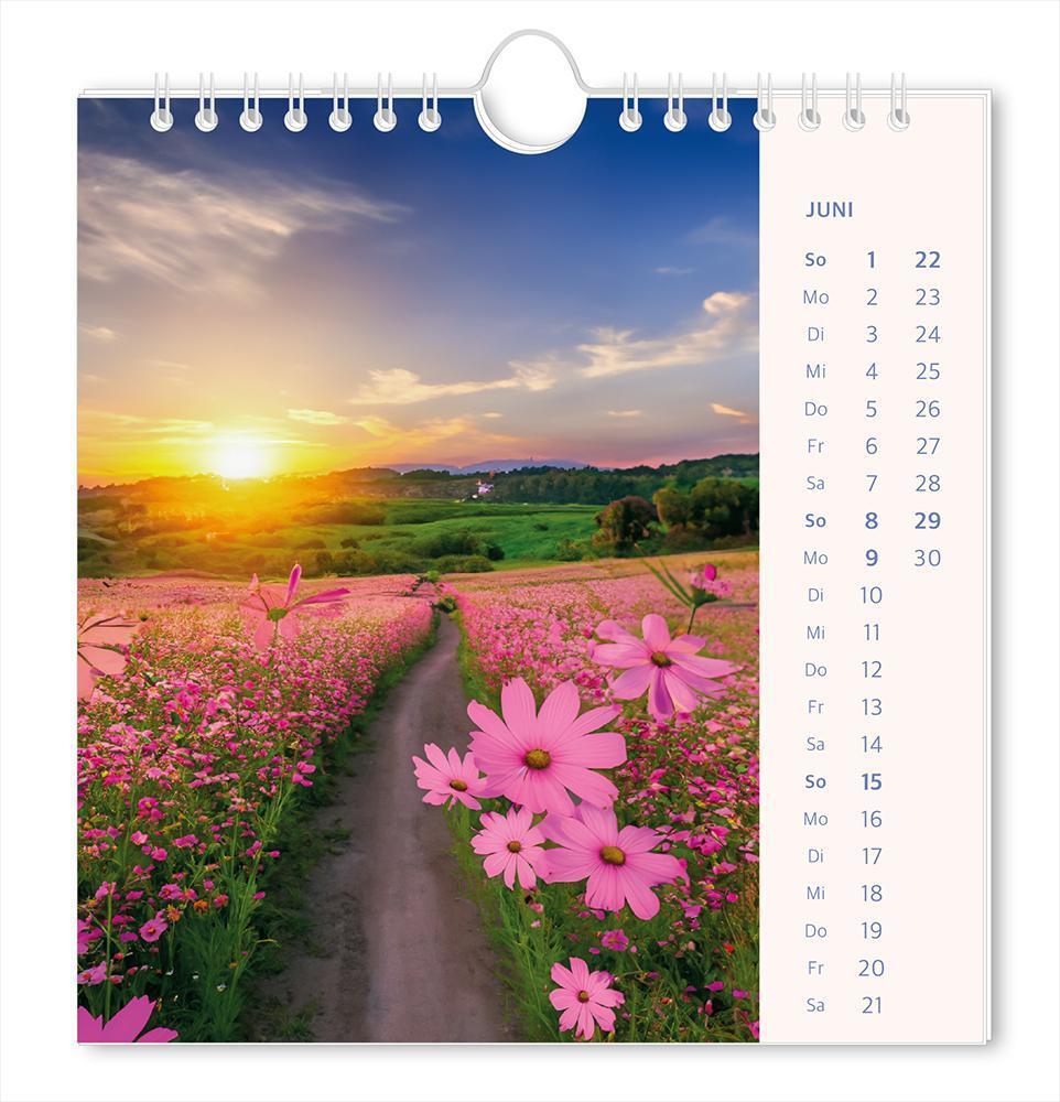 Bild: 9783986361204 | Postkartenkalender 2025 Lichtblicke | Postkartenkalender | Original