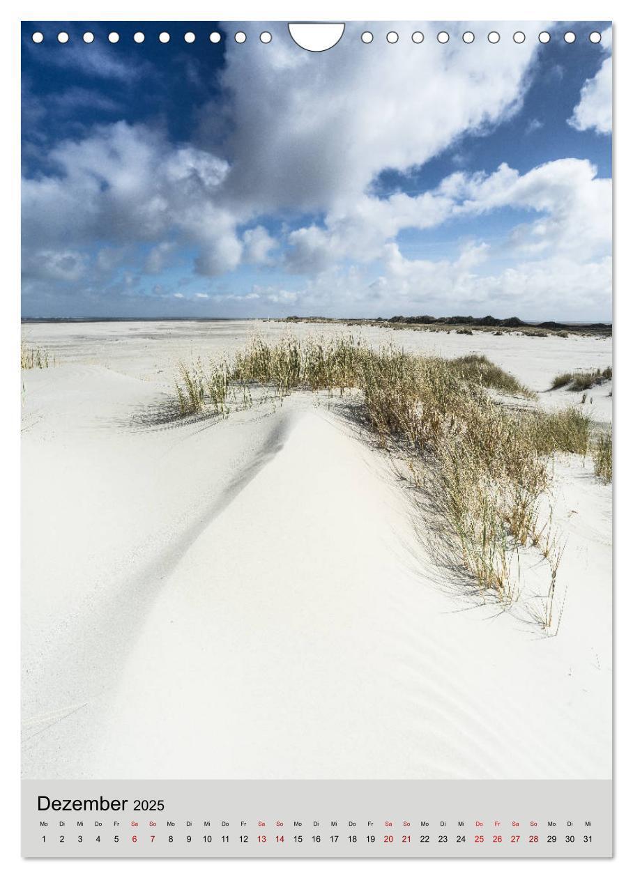 Bild: 9783435989041 | Ameland Wunderschöne Insel (Wandkalender 2025 DIN A4 hoch),...