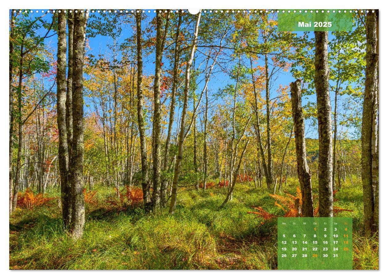 Bild: 9783435335619 | New England - Vielfalt einer Region (Wandkalender 2025 DIN A2...