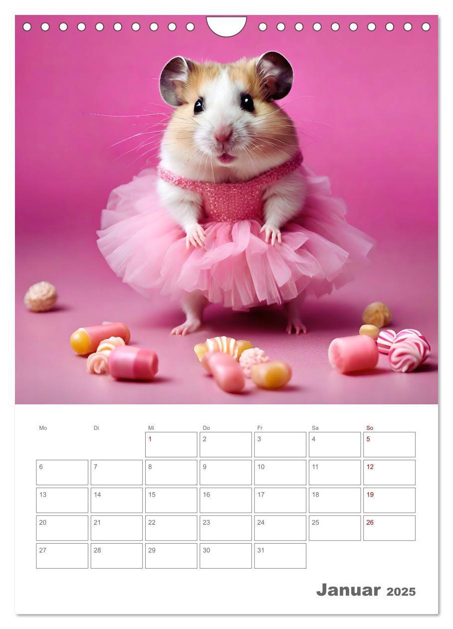 Bild: 9783383821066 | Ballerina Hamster - Eine Sinfonie aus zuckersüße KI Hamstern in...