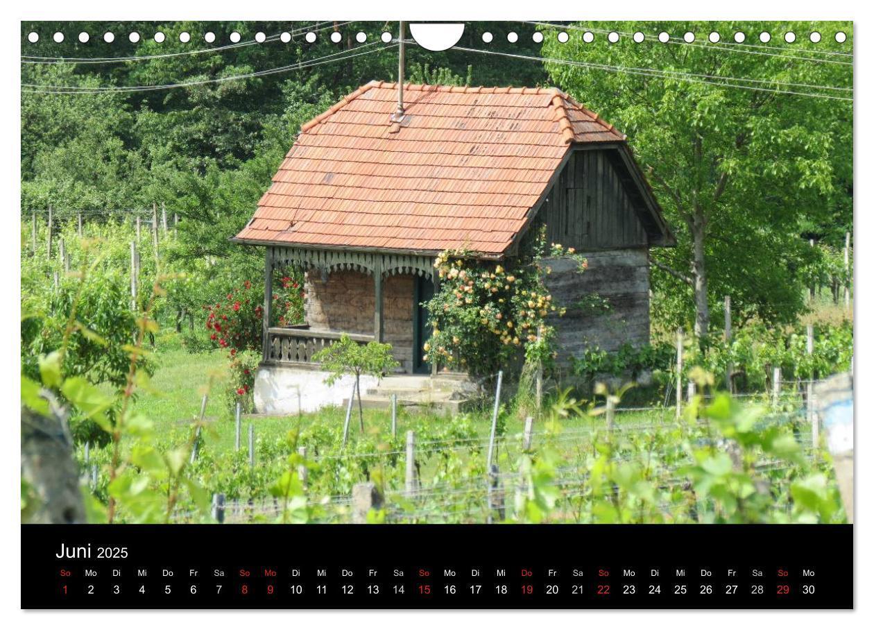 Bild: 9783435758524 | Weinidylle im Südburgenland (Wandkalender 2025 DIN A4 quer),...