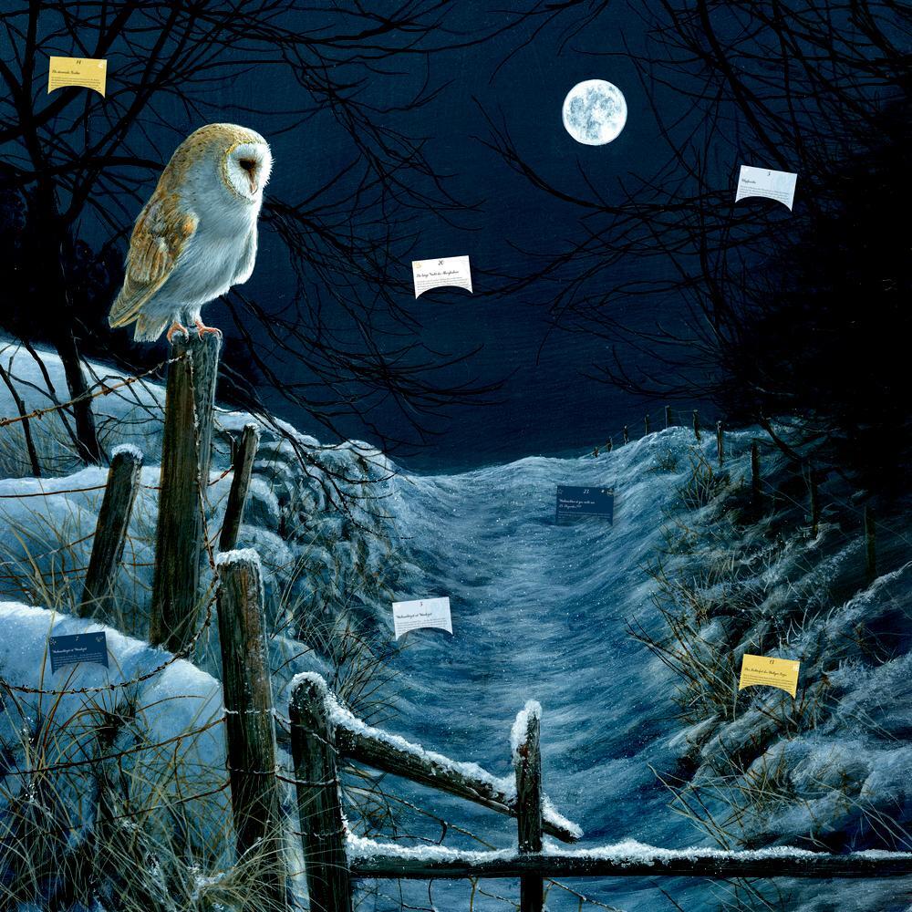 Cover: 4050003725628 | Zettelkalender Magie und Mythos der Winter-Weihnacht | Susan Niessen