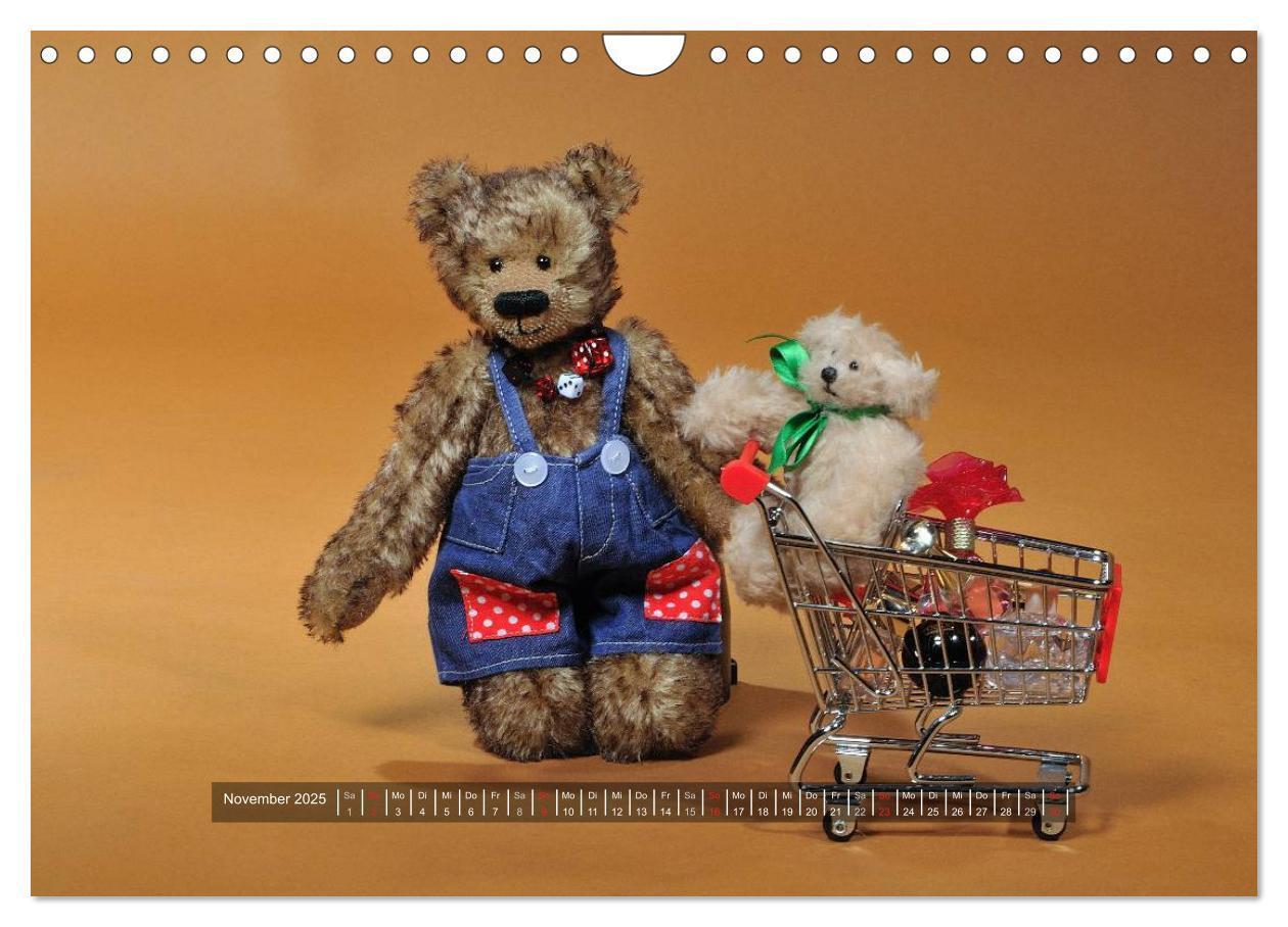 Bild: 9783435627592 | Die Teddys sind los (Wandkalender 2025 DIN A4 quer), CALVENDO...