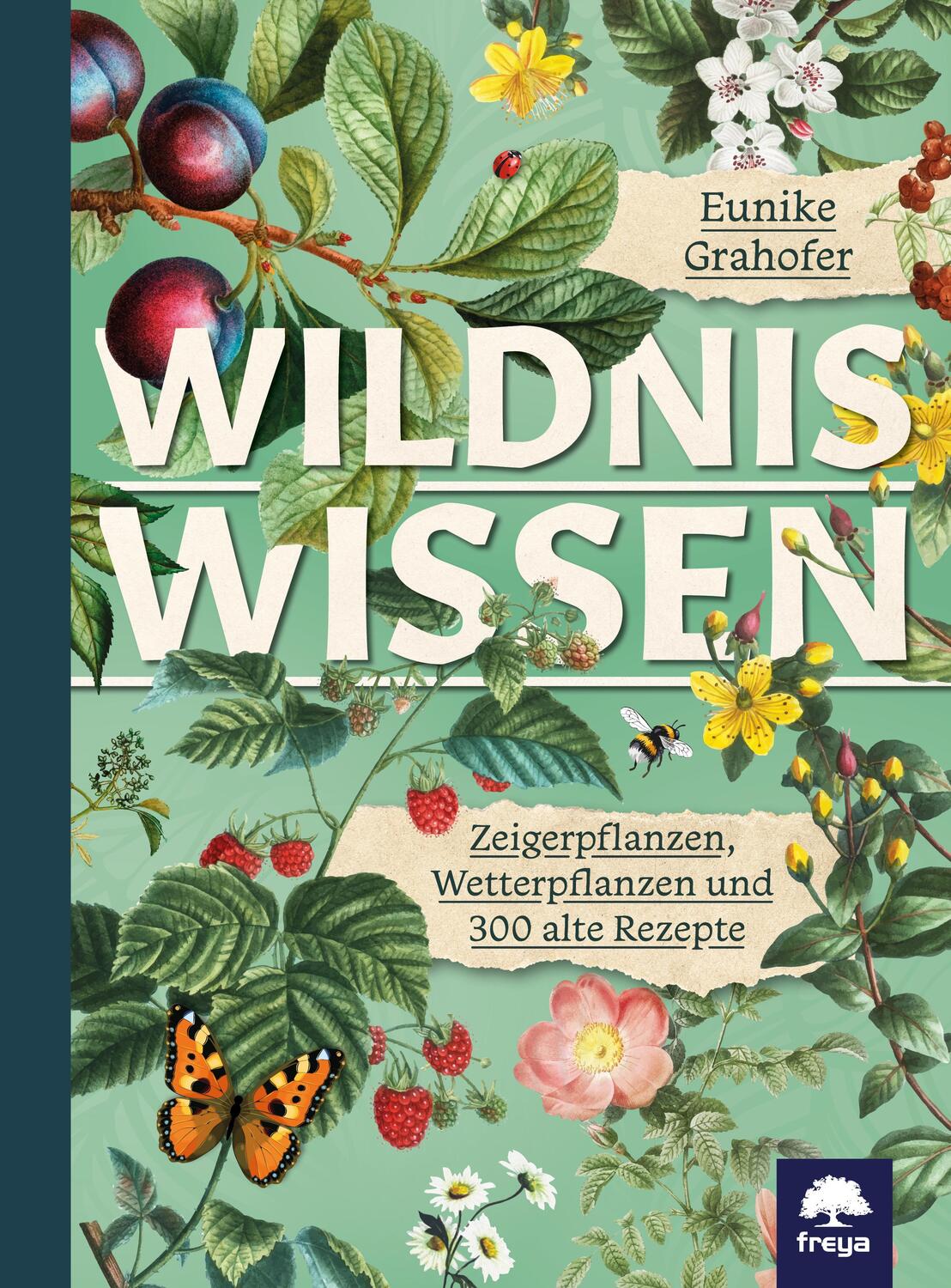 Cover: 9783990254073 | Wildniswissen | Heilmittel und Rezepte | Eunike Grahofer | Buch | 2020
