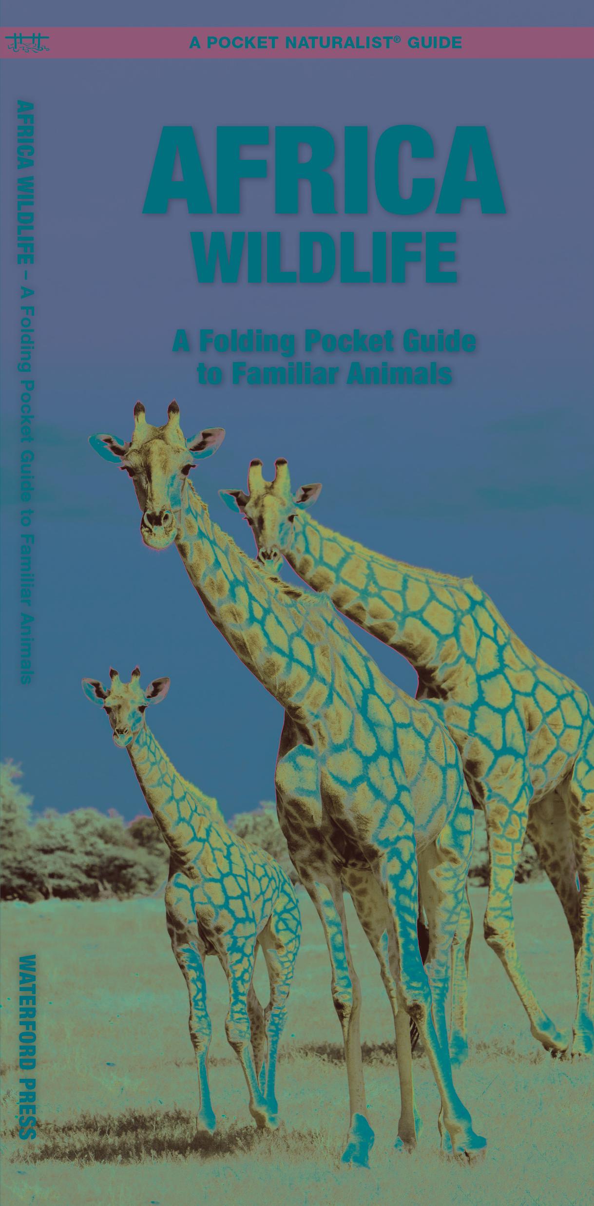 Cover: 9781583550328 | African Wildlife | A Folding Pocket Guide to Familiar Species | Ordner