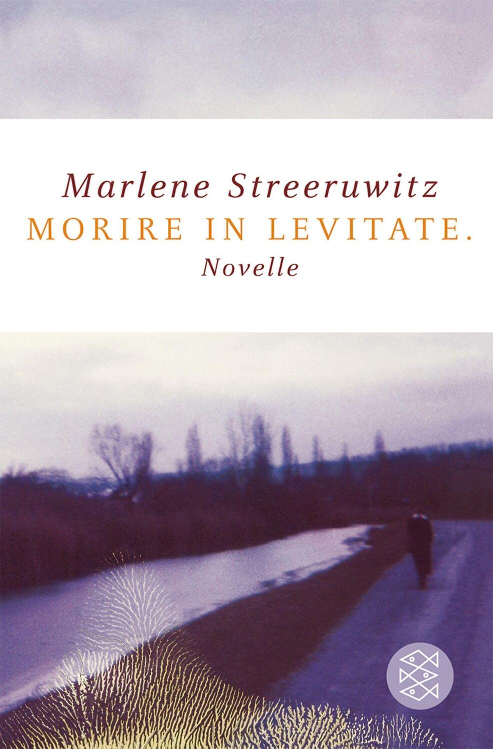 Cover: 9783596165780 | morire in levitate. | Novelle | Marlene Streeruwitz | Taschenbuch