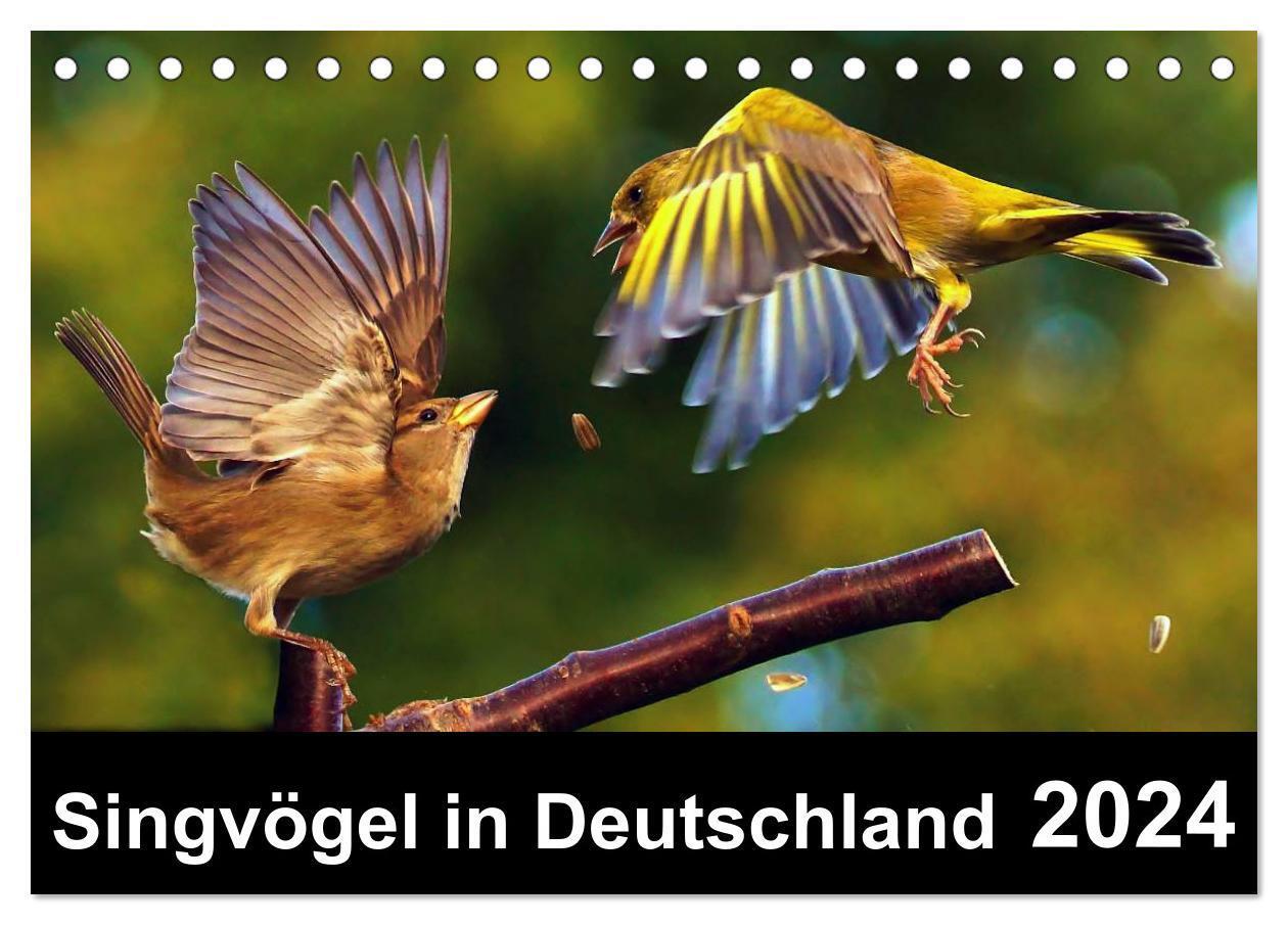 Cover: 9783675473843 | Singvögel in Deutschland (Tischkalender 2024 DIN A5 quer), CALVENDO...