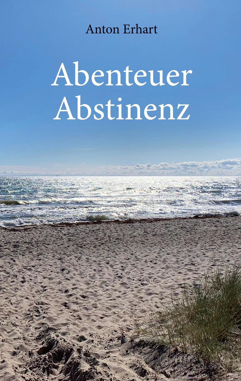 Cover: 9783753485157 | Abenteuer Abstinenz | Anton Erhart | Taschenbuch | Books on Demand
